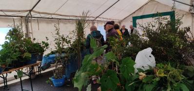 bourse aux plantes saint-laurent